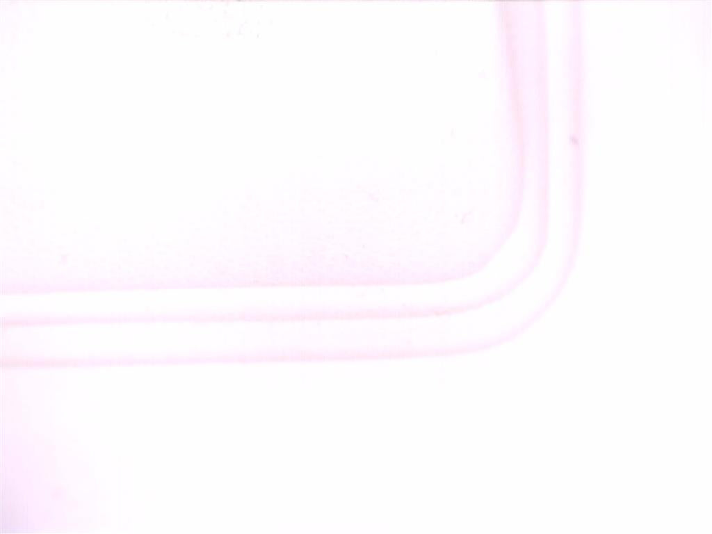 Lab Grown Diamond Wedding Band