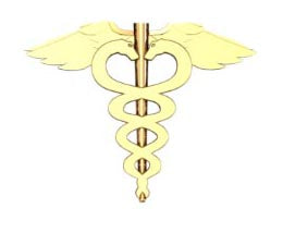 Medical Caduceus Earring - Small Size