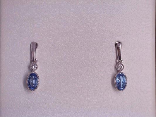 Colored Stone Earring