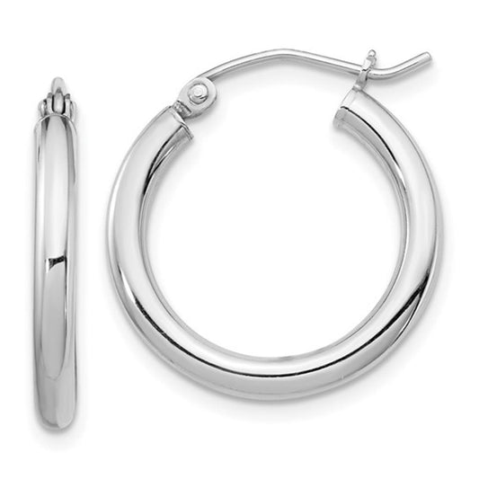Silver Earring