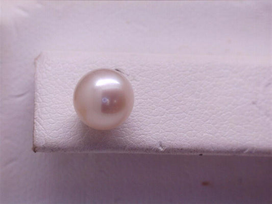 Pearl Earring