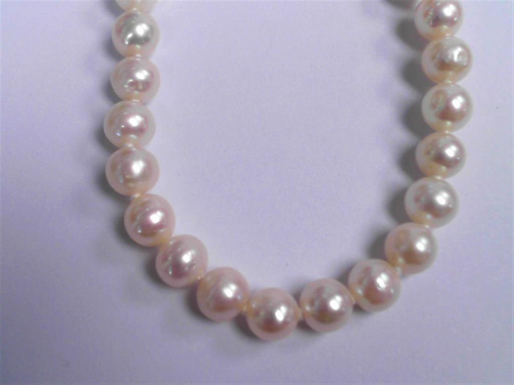 Pearl Necklace