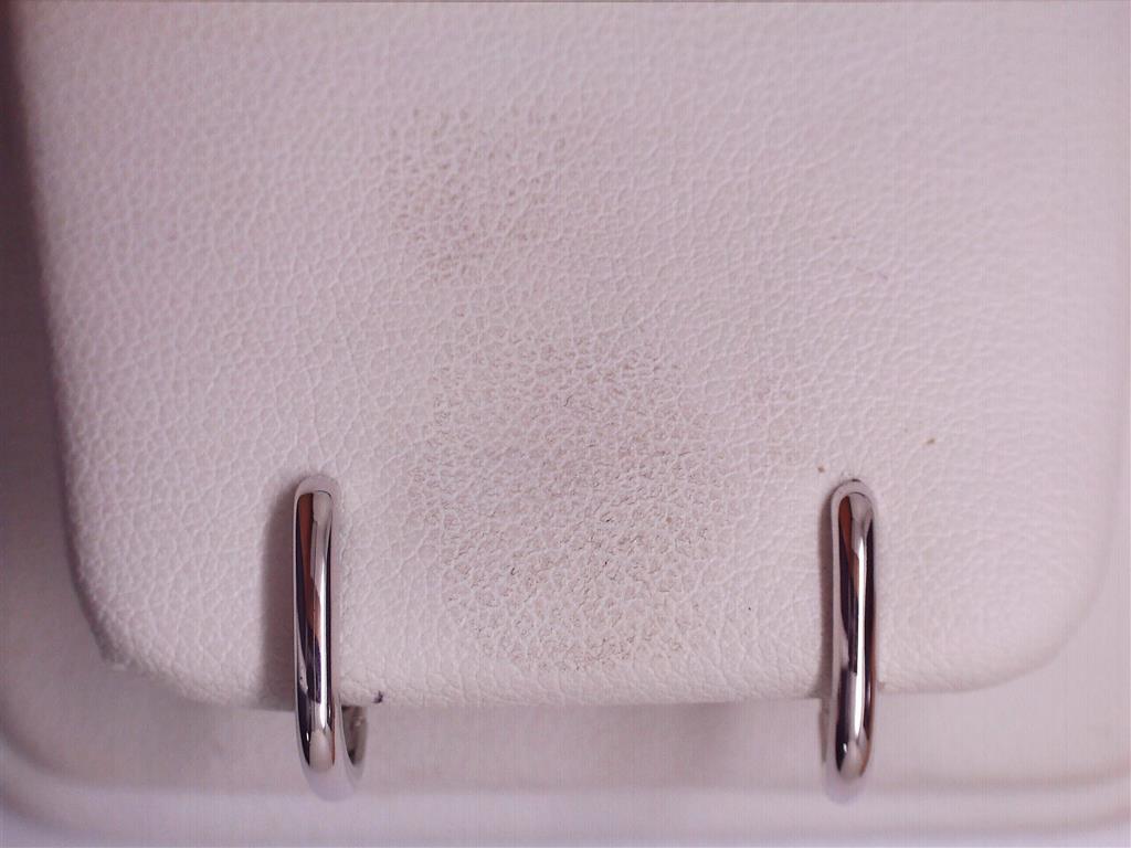Silver Earring