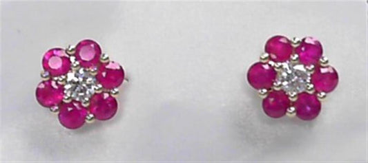 Colored Stone Earring