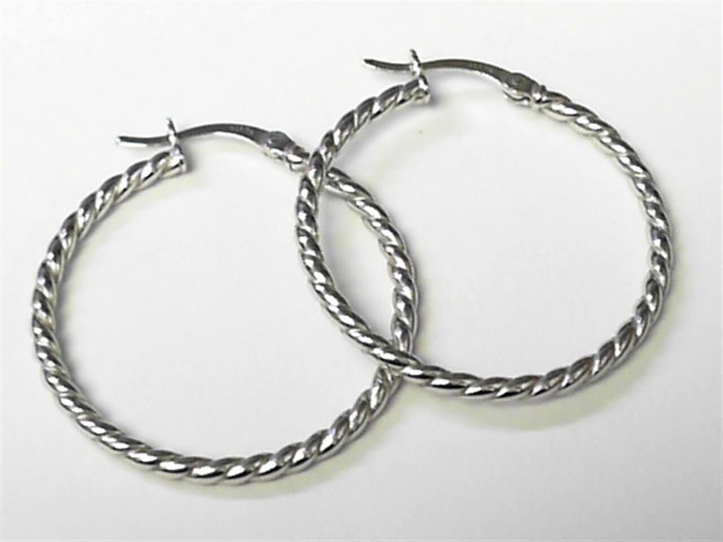Silver Earring