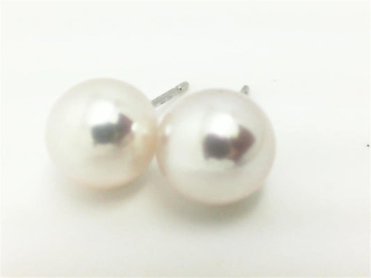 Pearl Earring