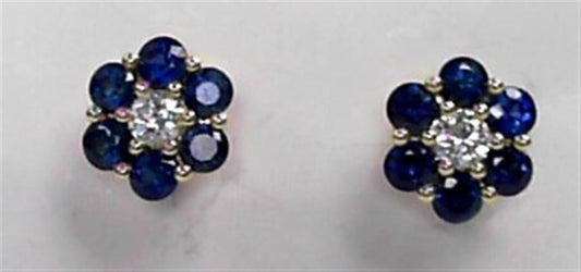 Colored Stone Earring