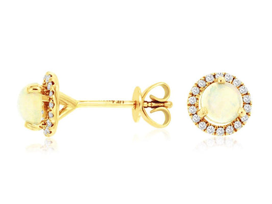 Colored Stone Earring