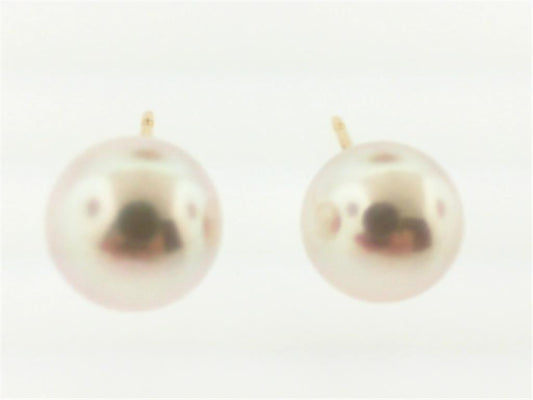 Pearl Earring